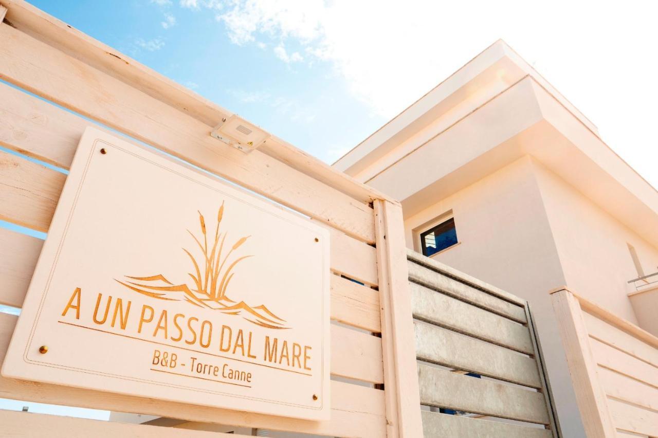 B&B A Un Passo Dal Mare 托雷坎内 外观 照片